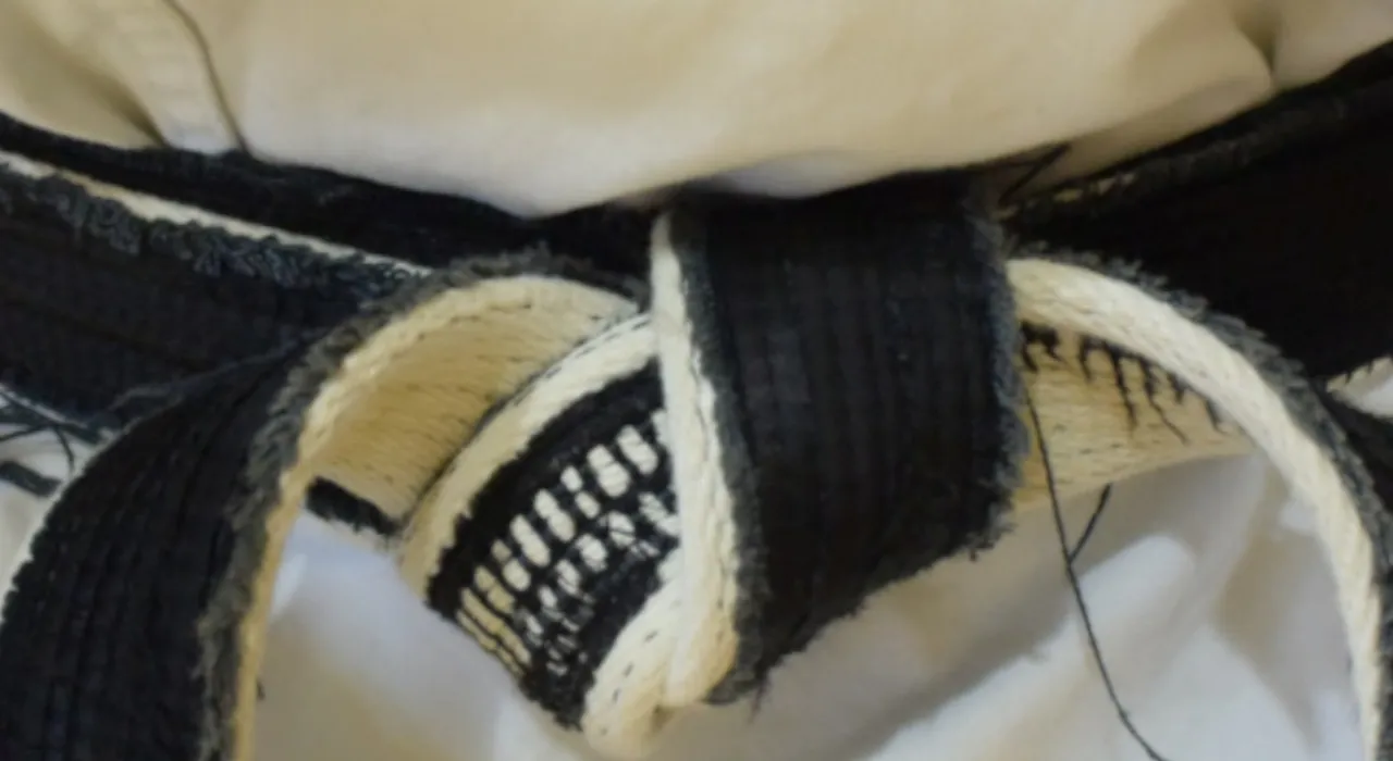 日本空手道直心塾 帯